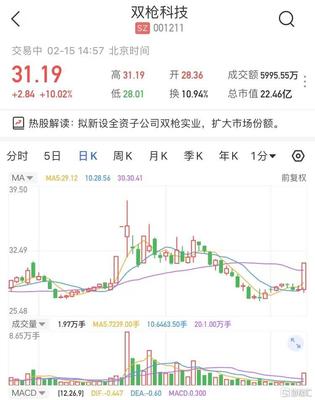 雙槍科技擬新設(shè)全資子公司雙槍實(shí)業(yè)，股價(jià)強(qiáng)勢(shì)漲停